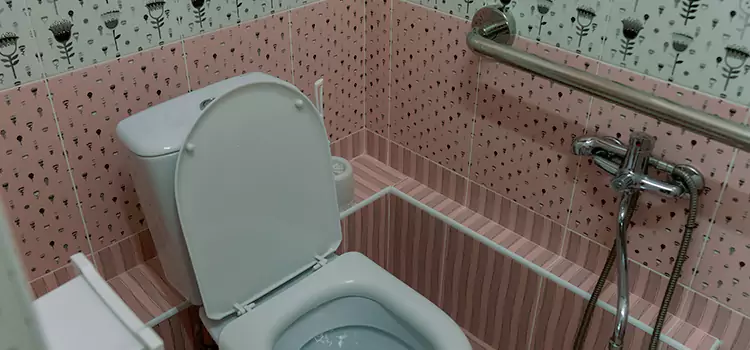 Meeting Diverse Needs With Accessible Restroom Solutions in St. Peters, MO