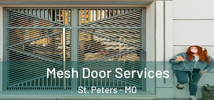 Mesh Door Services St. Peters - MO