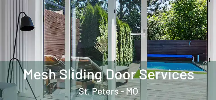 Mesh Sliding Door Services St. Peters - MO
